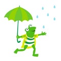 Frog with umbrella in rain