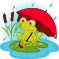 Frog under umbrella