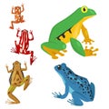 Frog vector cartoon tropical wildlife animal green froggy nature funny illustration toxic toad amphibian. Royalty Free Stock Photo