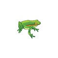 Frog. Vector illustration decorative design Royalty Free Stock Photo
