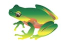 Frog vector toad green small illustration Royalty Free Stock Photo