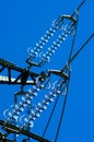 A frog view of power line Royalty Free Stock Photo