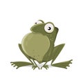 Funny vector illustration of a cartoon frog with vocal sac Royalty Free Stock Photo