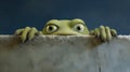 Frog on the wall. Frog peeking out. Royalty Free Stock Photo
