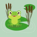 Frog on a water lily leaf in a pond, vector illustration Royalty Free Stock Photo