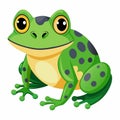 Frog white background Vector Illustration and Creative Unique Design Royalty Free Stock Photo
