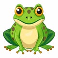 frog white background vector illustration Royalty Free Stock Photo