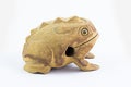 Frog wood Royalty Free Stock Photo