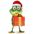 Frog with Xmas gift