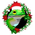 Froggy Christmas Royalty Free Stock Photo