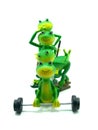 Sportive miniature frog figurines