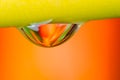 Froghopper macro showing compound eye Royalty Free Stock Photo