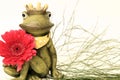 the Frogking Royalty Free Stock Photo