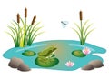 Frog Pond Ecosystem with Cattails