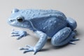 A frog is a type of amphibian that is found all over the world