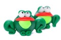 Frogs Royalty Free Stock Photo