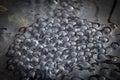 Frogs spawn in pond Royalty Free Stock Photo