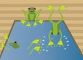 Frogs swimming pool Royalty Free Stock Photo