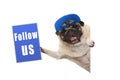 Frolic pug puppy dog with cap, holding up blue follow us sign, hanging sideways from white banner