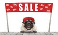 Frolic smiling merchant pug puppy dog with hat and red promotional banner sign with text sale % off, selling with discount