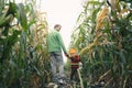 Frome behind father and his little son holding hands and walking across autumn corn field. Fall season, active family, parenting