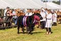 Frome, Somerset, UK, 14th September 2019 Frome Cheese Show Supreme cattle champion leading cattle in parade Royalty Free Stock Photo