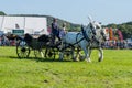 Frome, Somerset, UK, 14th September 2019 Frome Cheese Show Wedding carriage drawn by 2 grey shire horses in the ring Royalty Free Stock Photo