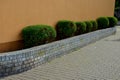 In front of the apartment building is a raised flower bed with a brick wall. trimmed evergreen bushes in the shape of balls or bou Royalty Free Stock Photo