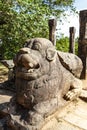 Front of the Audience Hall with guarding lion statues, Polonnaruwa ruins, Sri Lanka Royalty Free Stock Photo