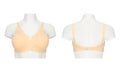 Front and back images of a ladies bra on a mannequin Royalty Free Stock Photo