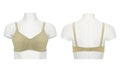 Front and back images of a ladies bra on a mannequin Royalty Free Stock Photo
