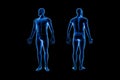 Front and back views of full human male body 3D rendering illustration isolated on black background with copy space. Anatomy, Royalty Free Stock Photo