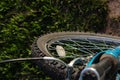 front bicycle wheel close-up on the grass. cycling trips in the wood