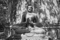 Front Black and White Buddha Statue Giving The First Sermon