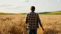 In front of the camera taking video from the back walking to the large wheat field farmer man he enjoy the time and Royalty Free Stock Photo