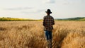 In front of the camera taking video from the back walking to the large wheat field farmer man he enjoy the time and Royalty Free Stock Photo