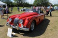 Front classic jag xk convertible Royalty Free Stock Photo