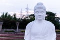 Front close up portrait shot of a white Buddha statue with electricity towers in the background