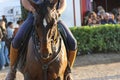 Front closeup of a horse during the National horse fair with a man sitting on blurred background