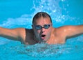 Front crawl swimmer Royalty Free Stock Photo