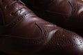 Front detail of a pair of brown leather classic Brogue shoes with lace Royalty Free Stock Photo