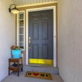 Front door of a house with lamp flower and doormat Royalty Free Stock Photo