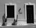 Front door houses architecture mexico black and white