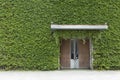 front door surrounded by ivy wall Royalty Free Stock Photo