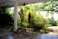 Front entrance of abandoned dilapidated hotel completely overgrown with forest vegetation and trees with garbage and fallen leaves