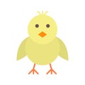 Front-Facing Baby Chick icon vector image. Royalty Free Stock Photo