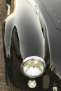 Front fender and headlight of Cobra