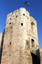 Front gate of Aleppo Citadel, Syria Royalty Free Stock Photo