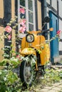 In front of a house is a yellow scooter overgrown with flowers Royalty Free Stock Photo