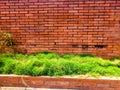 Front house grass pattern Royalty Free Stock Photo
